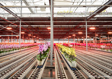 Veel bezoekers stonden te kijken van de automatisering