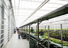 Ook in de kas veel bekijks