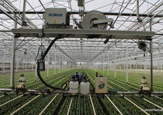 De spuitboom van Robur.