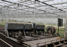 Dit moderne chrysanten bedrijf poot vol automatisch met deze plantmachine.