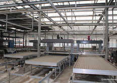 Volautomatisch worden de potten op de containers gezet.