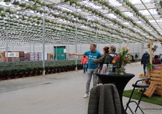 Kleurrijk en divers, de Alstroemeria stand.