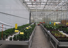 Even een blik werpen in de kraamkamer van Beekenkamp.