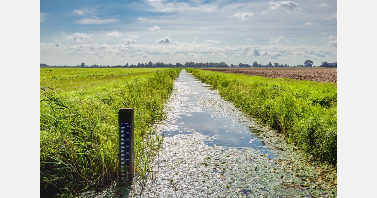 Baggerplicht botst met moderne sierteelt in Boskoop