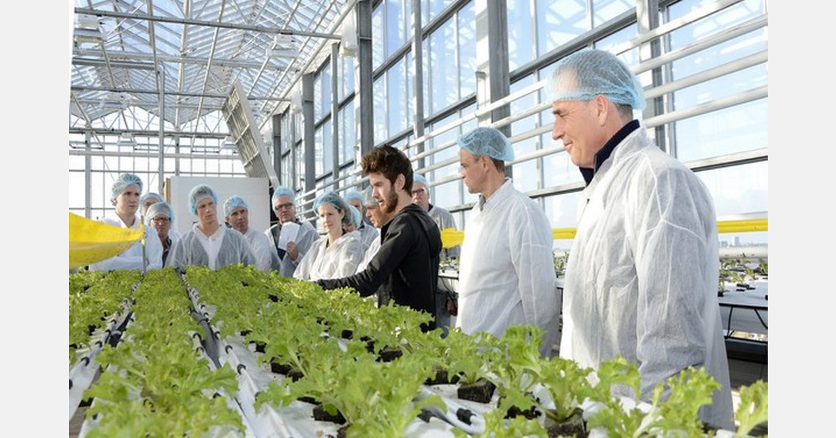 Coachen op de werkvloer. Hoe doe je dat?