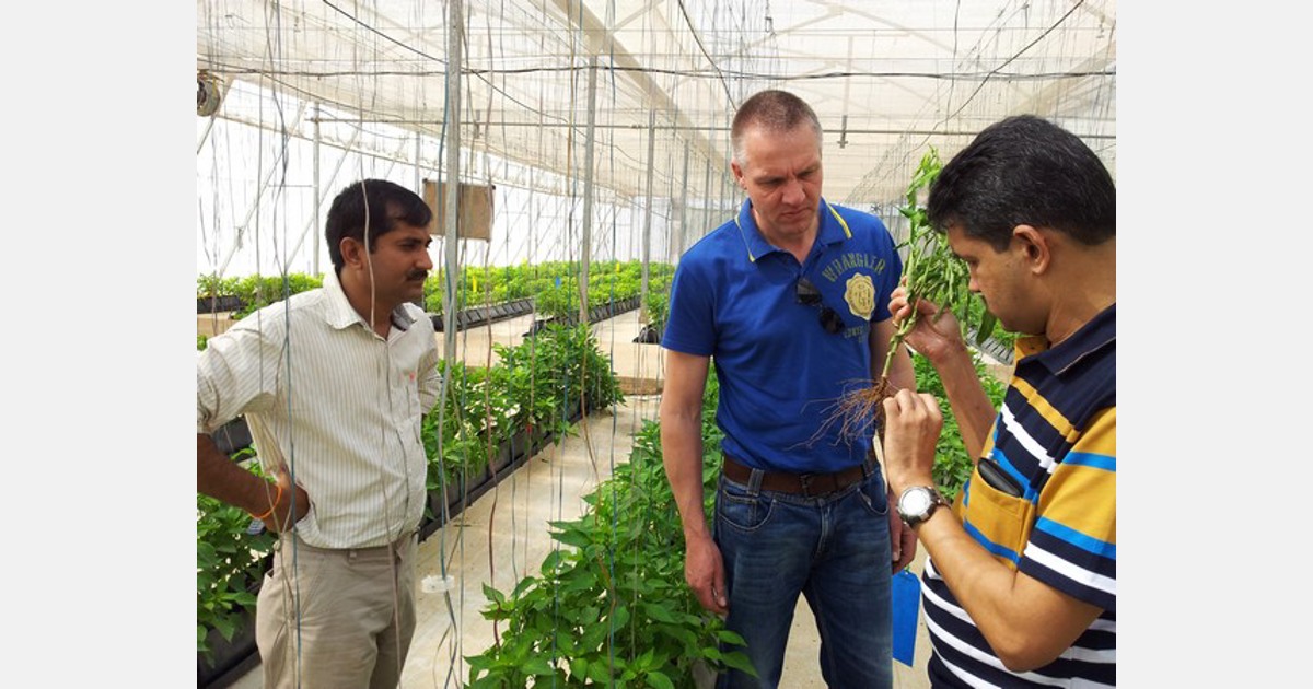 Zakje Zich voorstellen dubbel Indiase tuinbouw is booming"