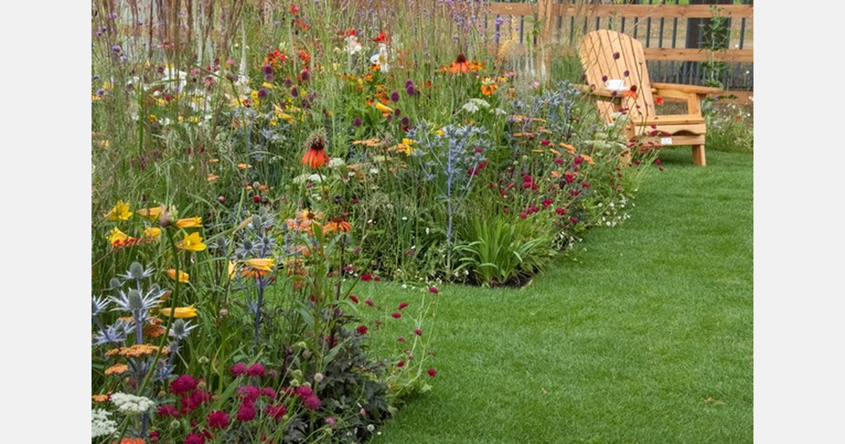 Tuinbranche Nederland presenteert drie tuintrends voor komend seizoen