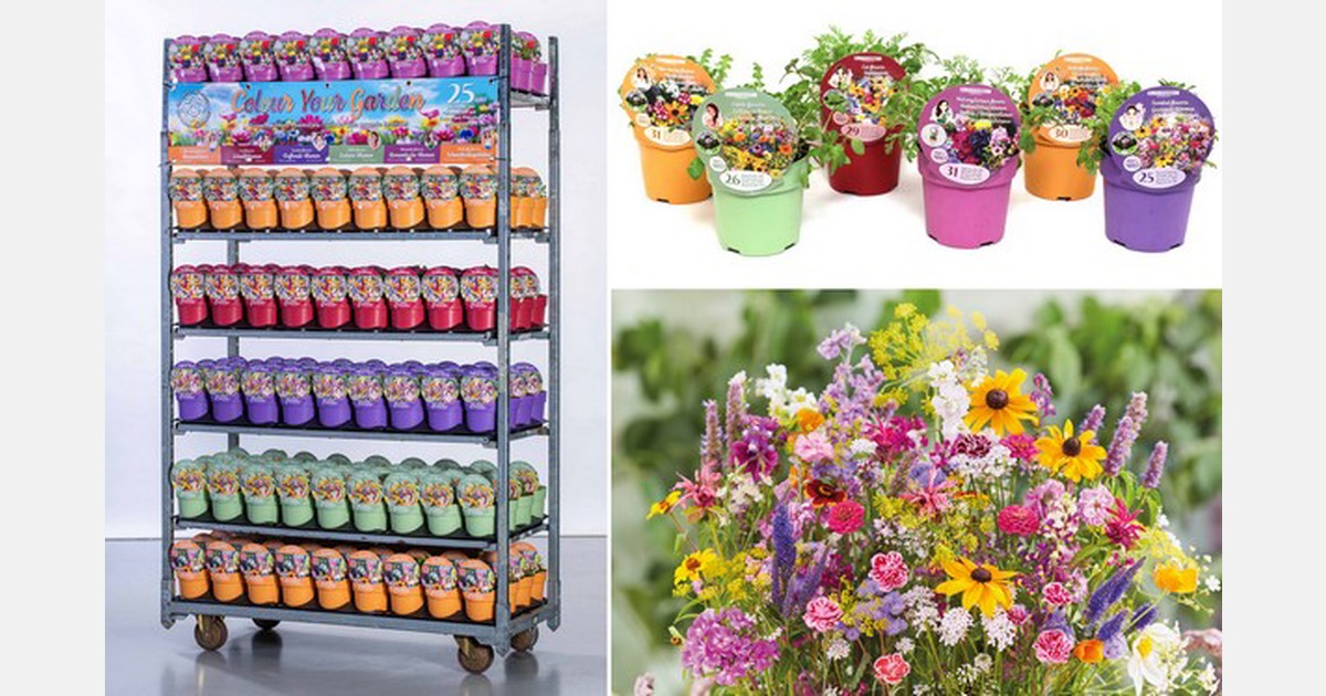 Colour your garden introduceert nieuw concept BloomBoost