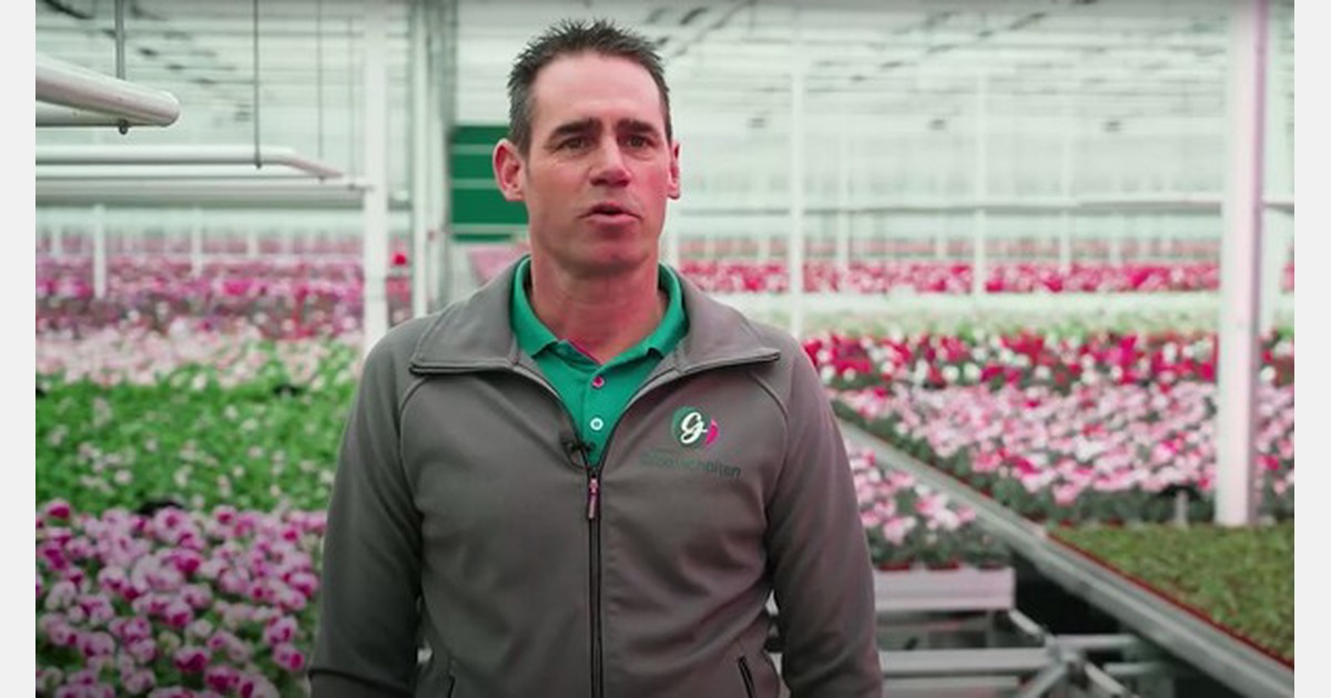 Gebroeders Grootscholten maakt grote automatiseringsslag