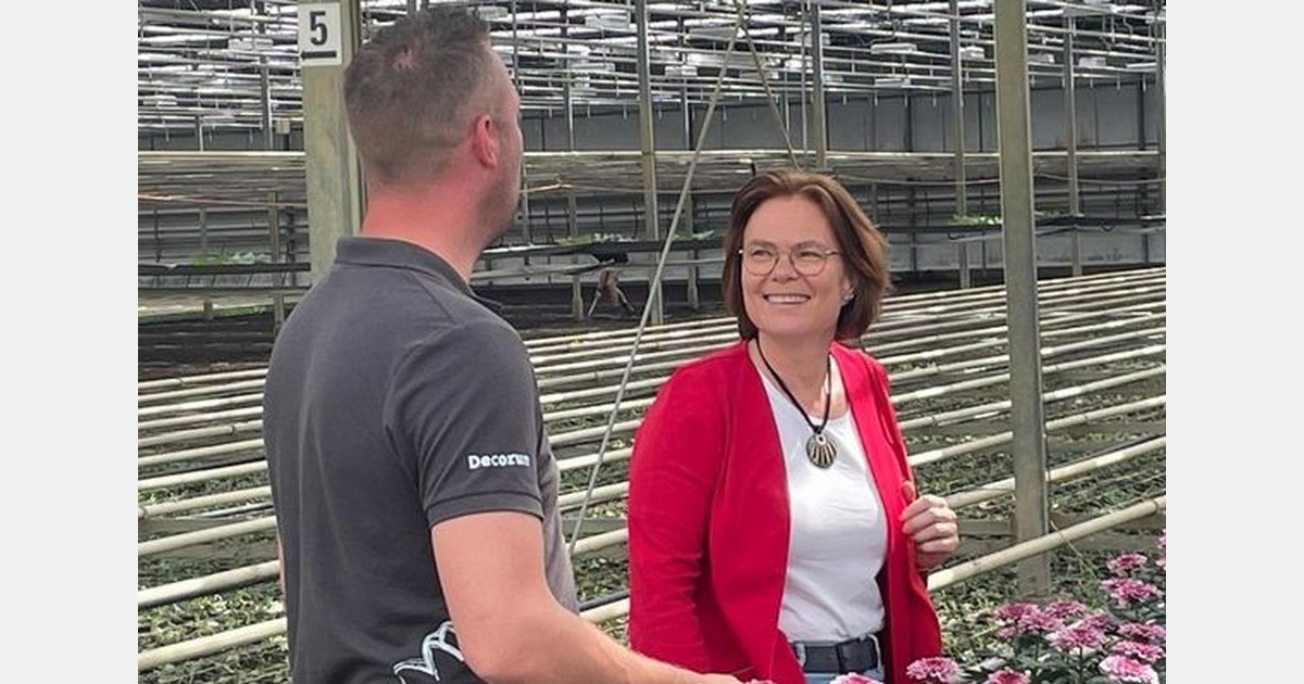 GroenLinks-PvdA-Europarlementariër Marit Maij bezoekt kassen