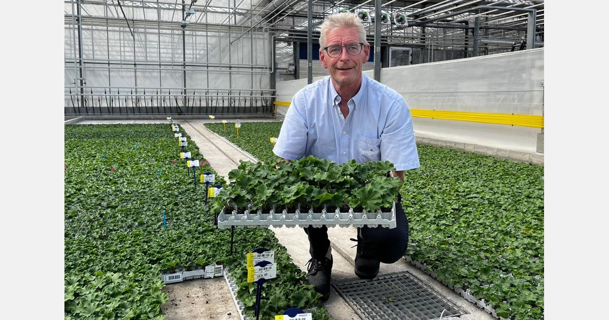 Op weg naar veenvrije productie van jonge planten in De Lier