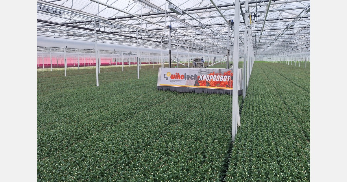 Knoprobot in actie zien?