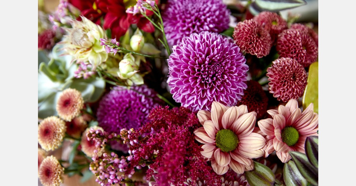 Promotiegroepen chrysant, hortensia en amaryllis bundelen krachten tijdens Trade Fair