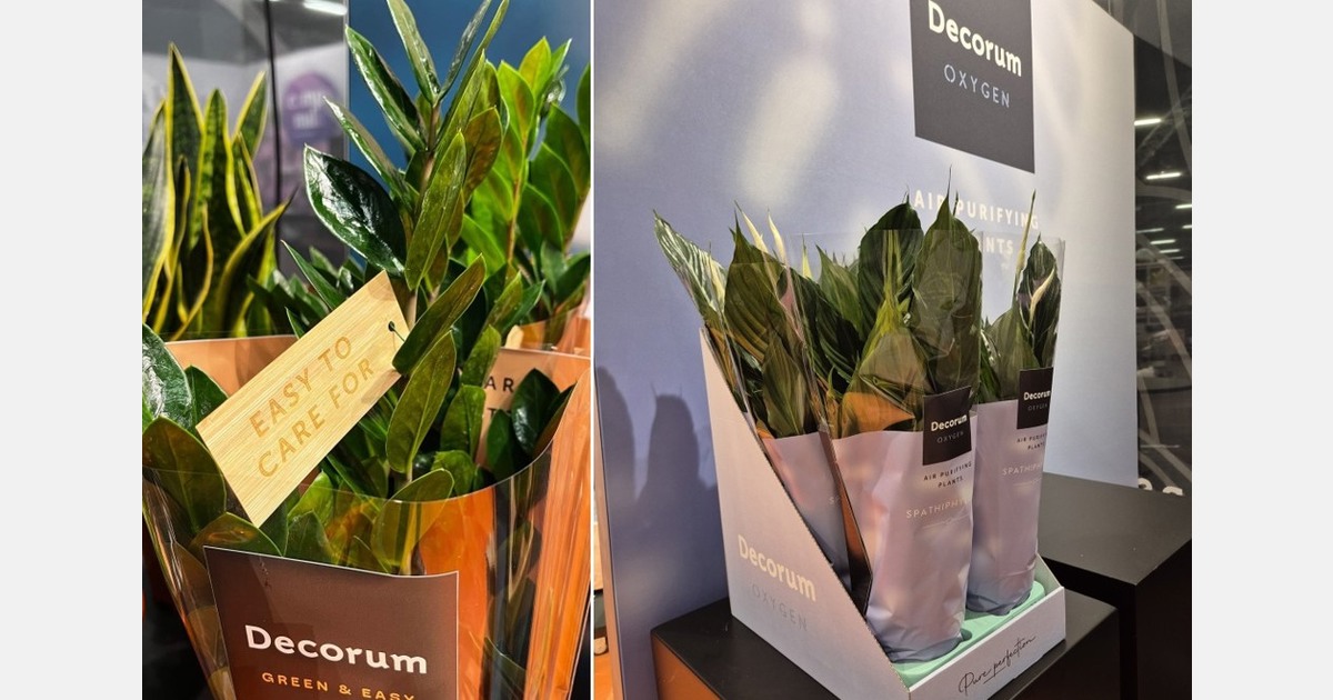 Decorum introduceert nieuw merkenhuis op Trade Fair Aalsmeer