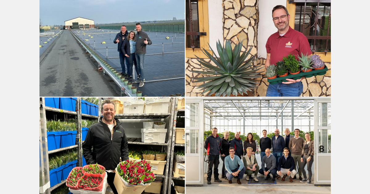 Februari is rode rozen en veel beurzen