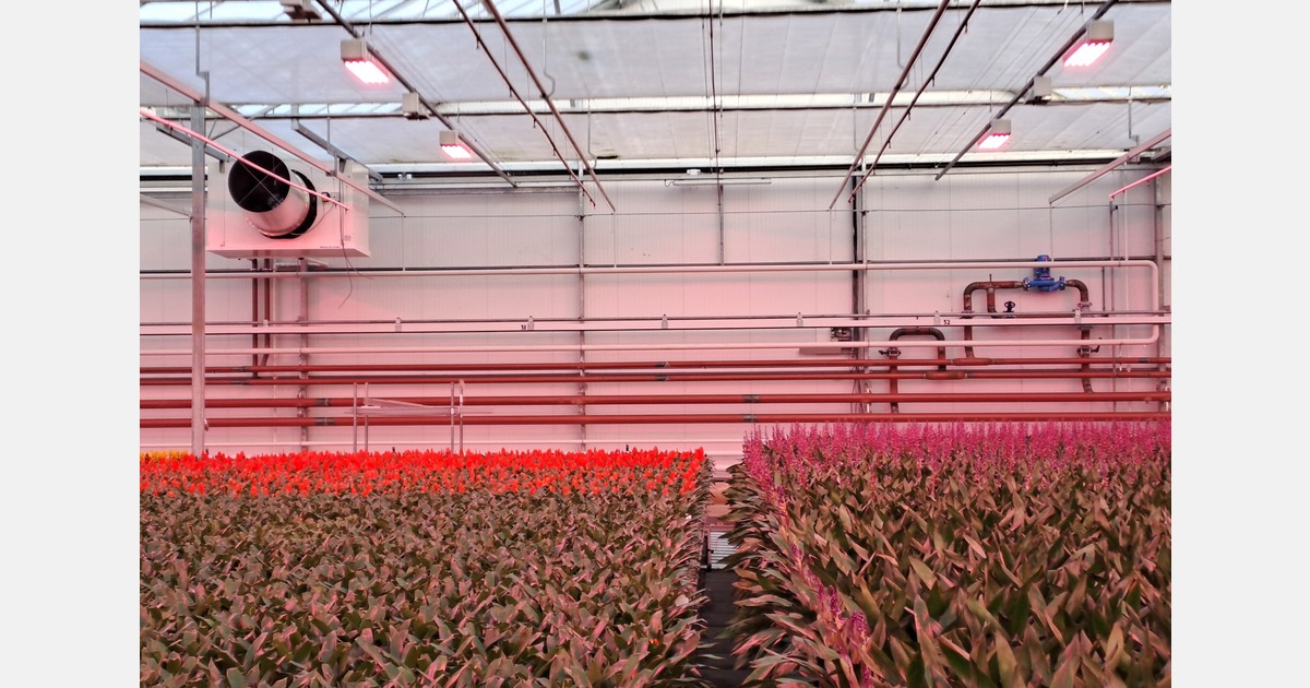 Nieuw klimaatsysteem zorgt voor kwaliteitsimpuls bij Bromeliakwekerij