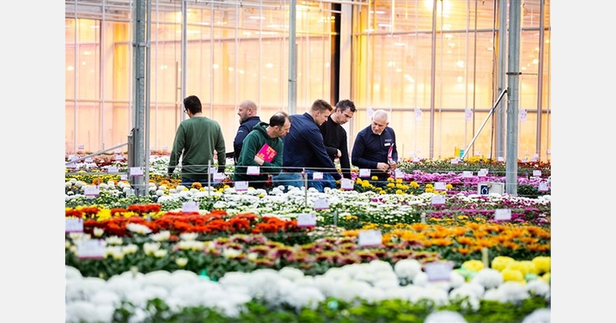 ‘Meer verbinding tussen kwekers en handel tijdens Delishow’