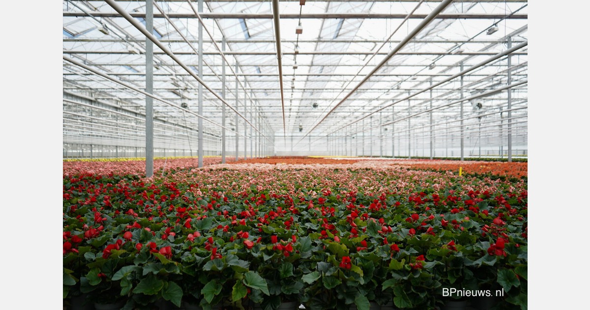 Verbod op niet-biologische sierteelt in Lochem