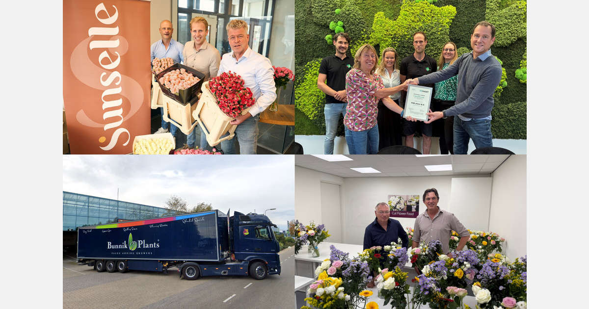 Bunnik Group gaat afbouwen en rozenkwekers bundelen krachten
