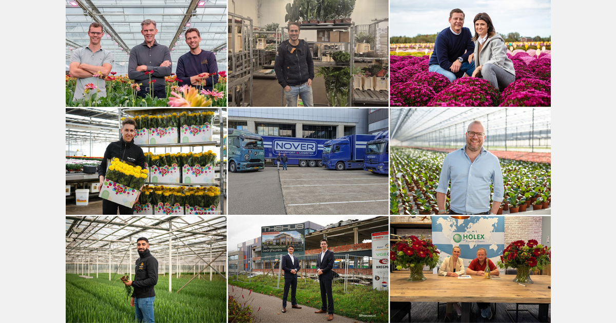 Dit waren de best gelezen artikelen op BPnieuws in 2025