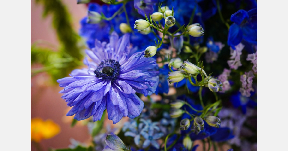 Maastricht Aachen Airport ziet kortere afhandelingstijden bloemen
