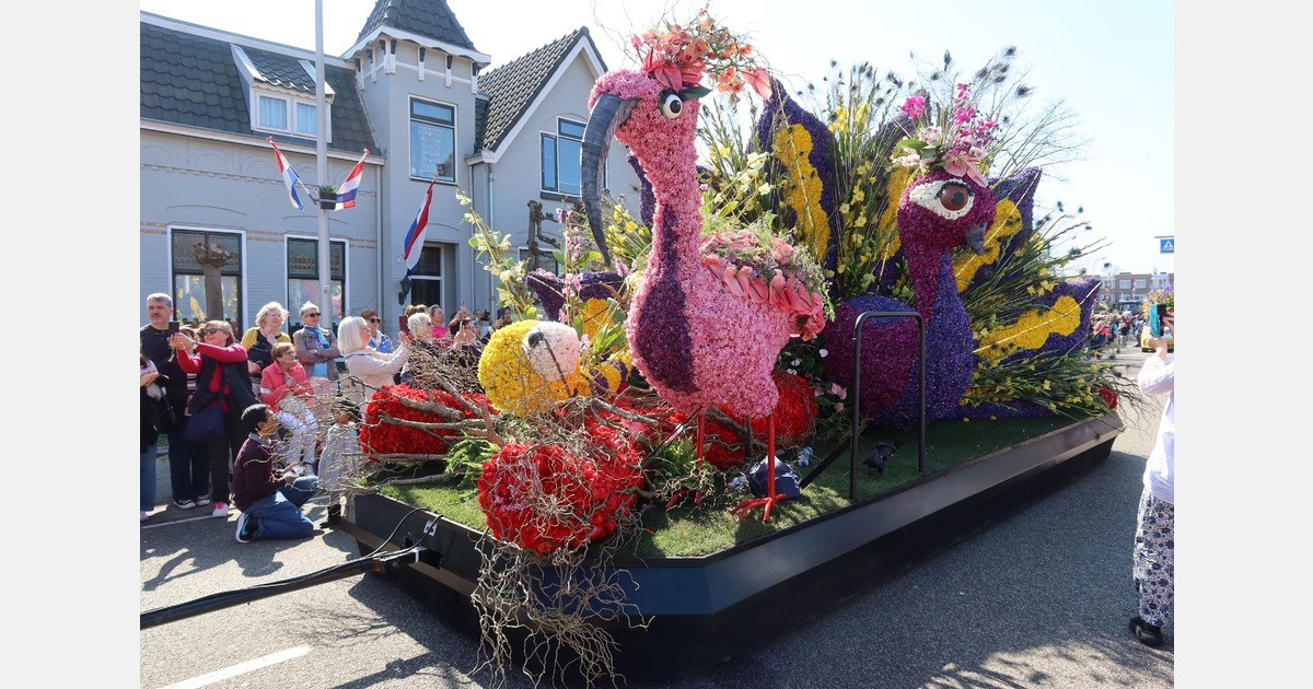 Opbouwdagen en duurzame proef voor Bloemencorso Bollenstreek