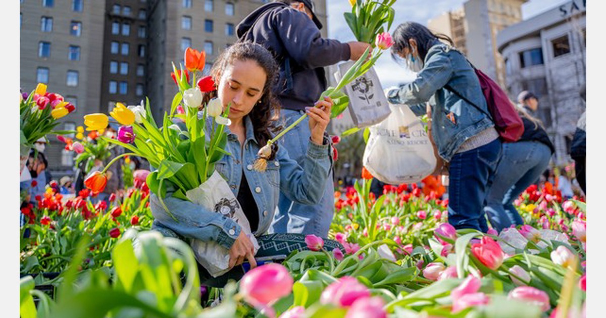 Inwoners San Francisco bezoeken massaal Flower Bulb Day in San Francisco