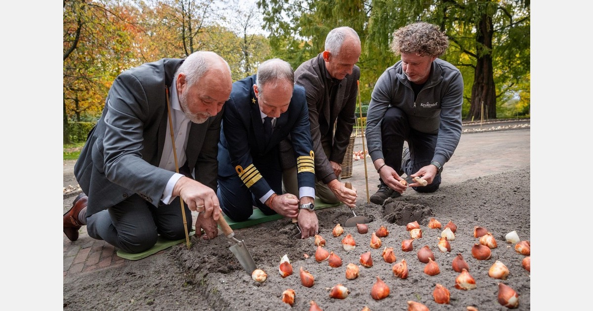 Holland America Line onthult exclusieve tulp