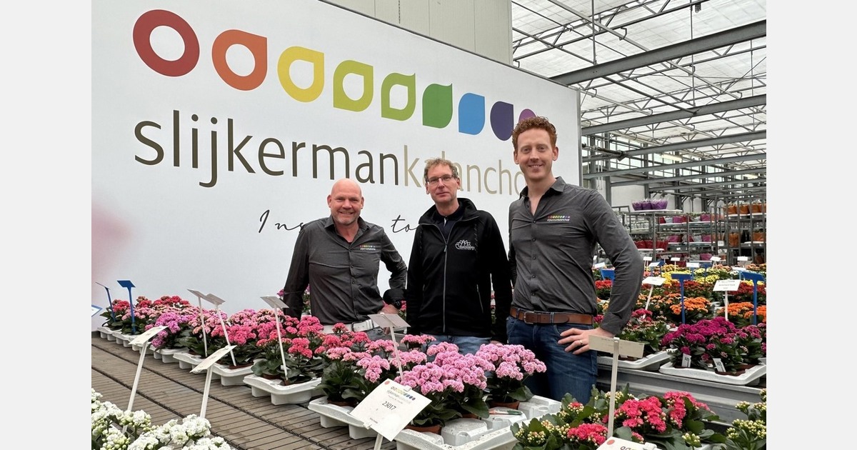 SlijkermanKalanchoë en Succulents Unlimited gaan samenwerken voor Noord-Amerikaanse markt