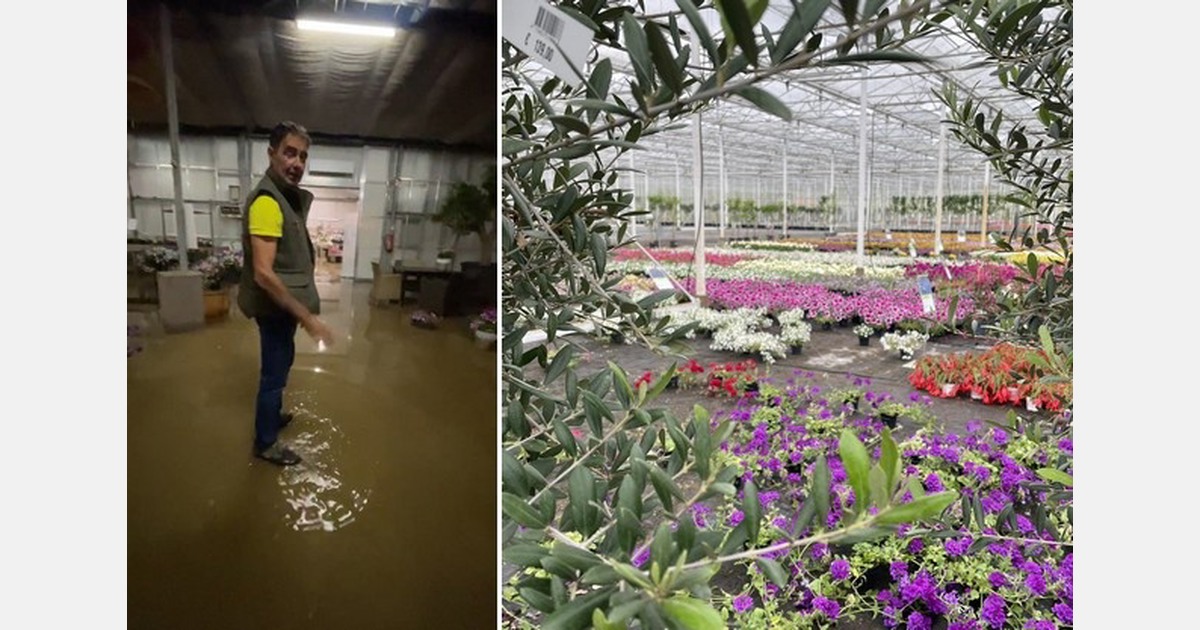 Noodweer Limburg treft kas teler Ruud: 