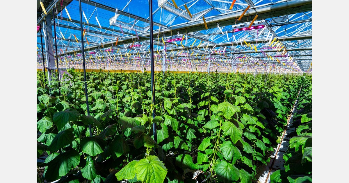 Verbetering waterkwaliteit beter zichtbaar door aanpassing Kaderrichtlijn Water