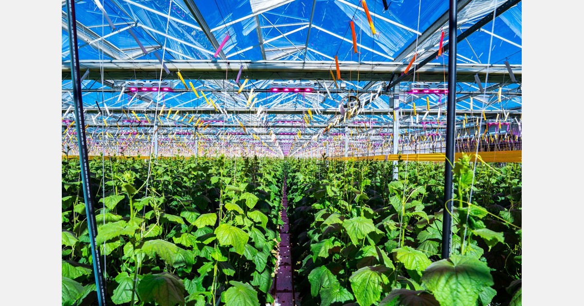 Nieuwe aardwarmtebron in West-Friesland