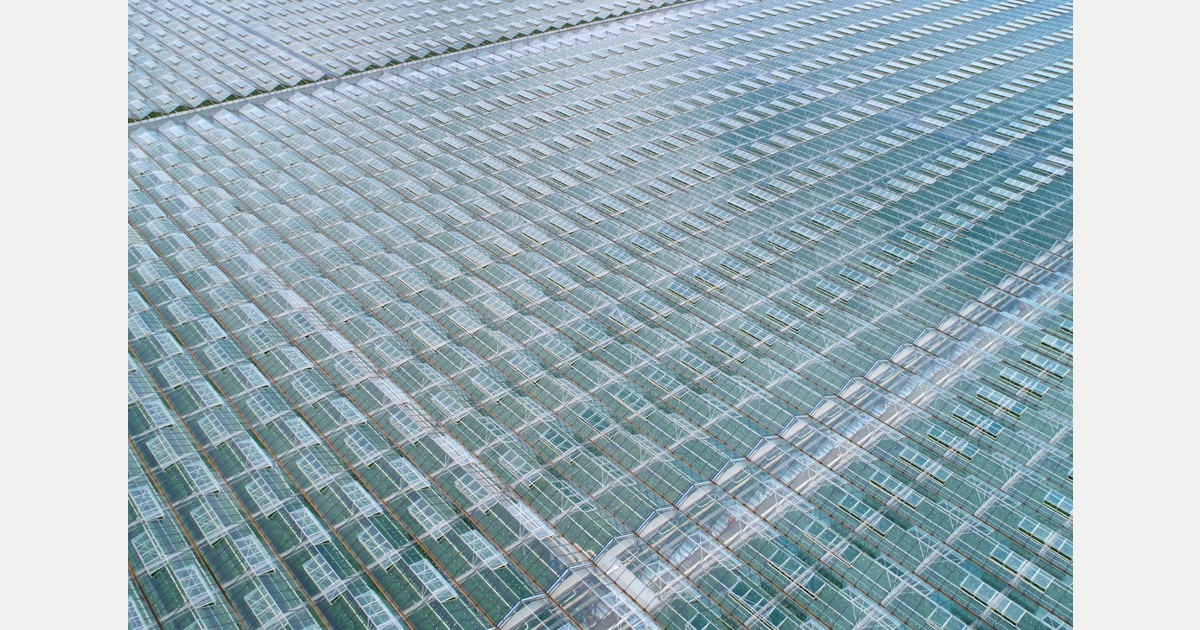 Hollands-Kroon wil met nieuwe regels kassen vol zonnepanelen tegengaan