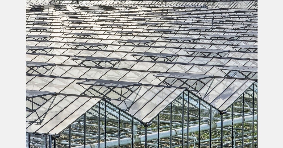 Glastuinbouwbedrijven houden hun plek in visie Nieuwerkerk aan den IJssel