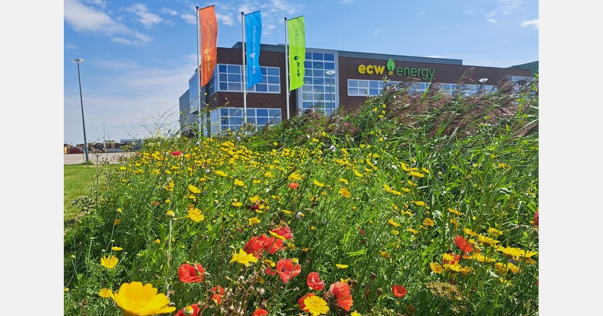 ECW Energy maakt op Agriport plaats voor Circular Center van Microsoft