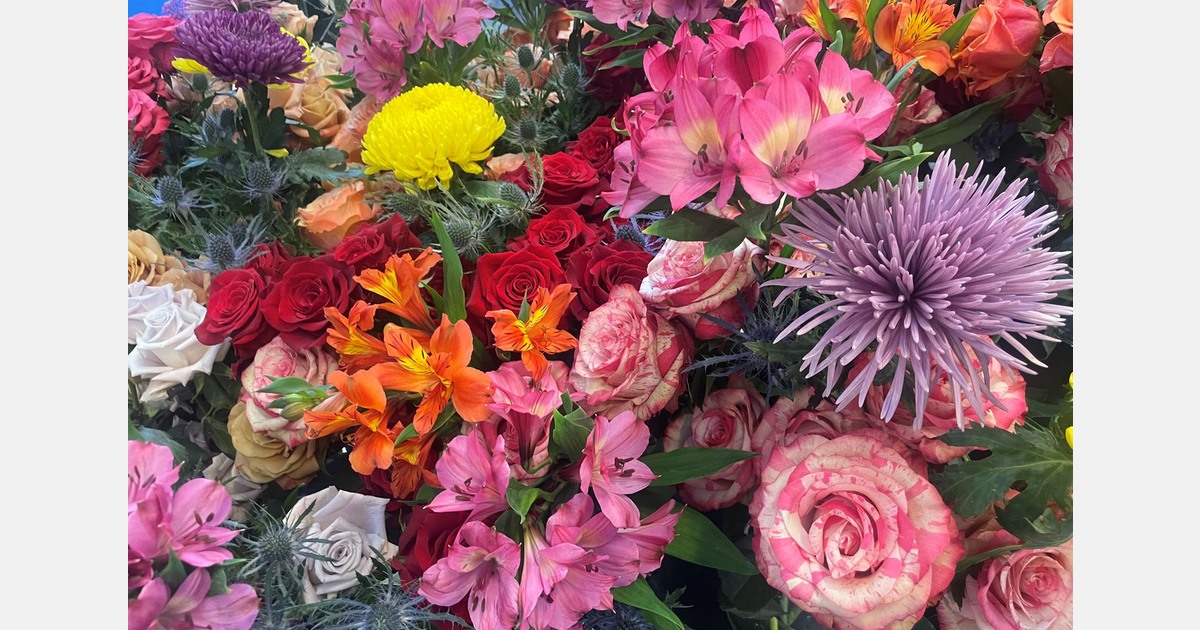 Nieuwe benoemingen en functiewijzigingen bij Plantion