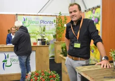 Peter Kroes van Van Vliet New Plants met hun najaarsproducten: Skimmia, Ilex en Bamboo.