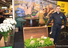 Kees van Wijk, van de gelijknamige kwekerij Van Wijk, met op de voorgrond de groene santini Country, op de kwekerij het grootste product van de kwekerij.