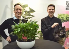 Michel van Rijn en Wesley Guttenberg van XL Bloom met hun Anthuriums.