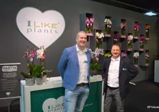 Tom Lievaart en Jack van der Knaap van Levoplant highlighten het premium phalaenopsismerk 'I like plants'