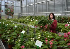 Ilona Smith with ABZ Seeds, here showing the newest color (Cherry Blossom) in the Summer Breeze series