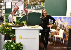 Suzanne Mulvehill van  Miami Tropical Plant. Ze leveren planten (honderden varieteiten in meer dan 8 pot maten) aan tuincentra, high-end retaielers, fotograven en meer.  