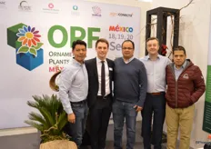 IPM Essen gaat in september een sierteeltbeurs organiseren in Mexico, zo werd onlangs bekend gemaakt. Binnenkort op deze plaats meer informatie & achtergrond over deze samenwerking tussen Ornamental Plants & Flowers México (OPF) en IPM!