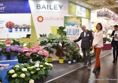 Garry Grueber and Aline Andreas of Cultivaris presenting their highlight varieties; ULU, Runaway Bride, and Summer Love. In these varieties, they continue growing in quantities.
