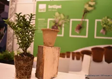 Fertil designed a new shape of the Fertil Pot, a pot that is always made out of wood without any additives. For the wood, trees closed to the factory are used that supposed to be cut to thinning the forest. "This new shape improves the ability to destack pots easier with a machine."