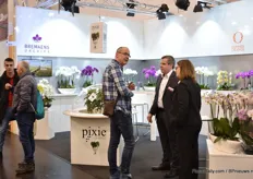 Christian Bremkens of Bremkens talking to visitors. Last year, they and Dümmen Orange signed an agreement for exclusive rooting of Dümmen Orange phalaenopsis products for the European market at the Bremkens production facility in Germany. In addition, it was announced that the sales teams of both companies will team up to create services to support growers.