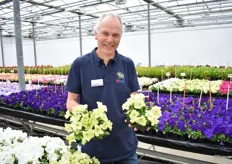 René Knijn, Head of Sales, from Hem Genetics with their Petunia Limbo Yelow Lime. This is the first Yellow Lime in their geneticly compact serie.
